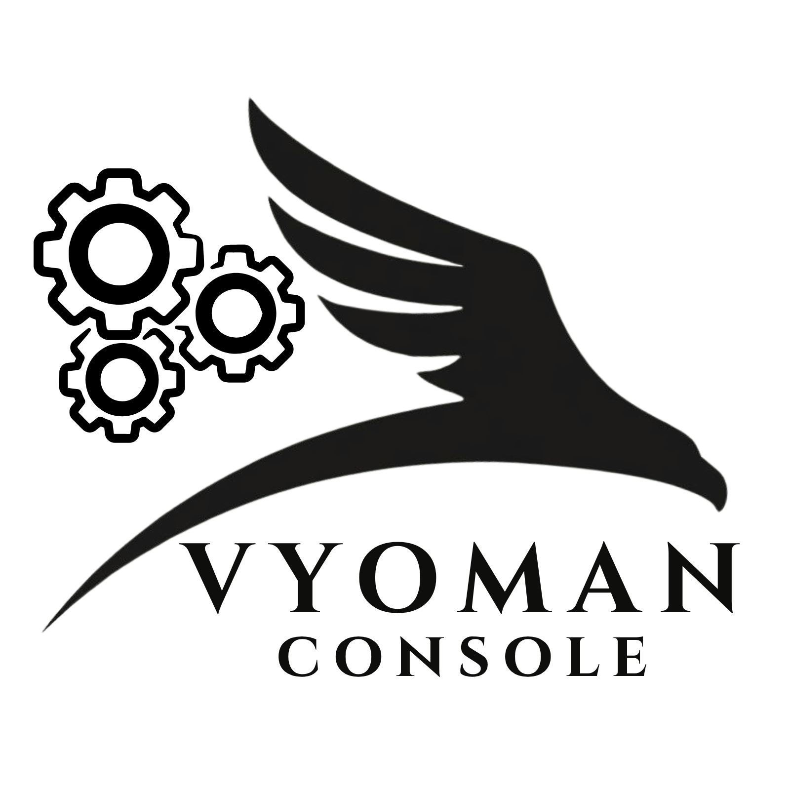 Vyoman Console